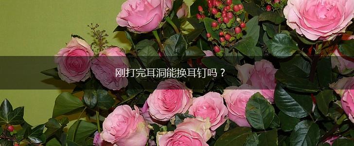 刚打完耳洞能换耳钉吗？,第1张