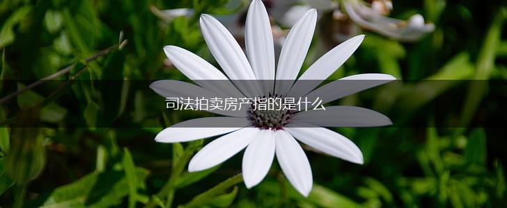 司法拍卖房产指的是什么,第1张