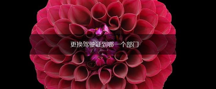 更换驾驶证到哪一个部门,第1张