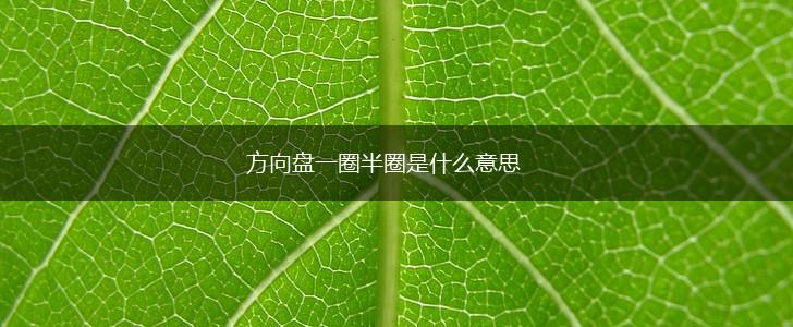 方向盘一圈半圈是什么意思,第1张