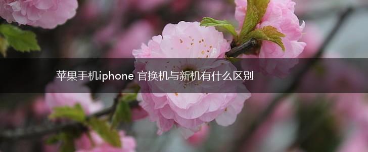 苹果手机iphone 官换机与新机有什么区别,第1张