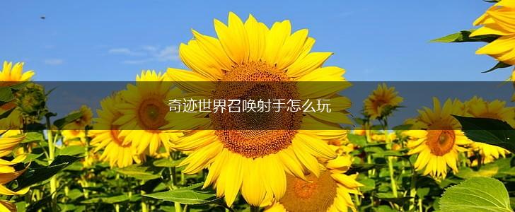 奇迹世界召唤射手怎么玩,第1张