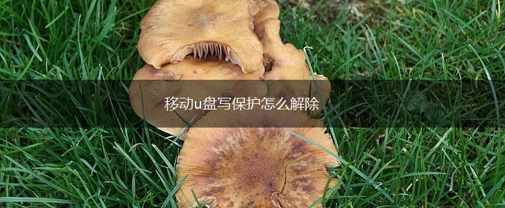 移动u盘写保护怎么解除,第1张