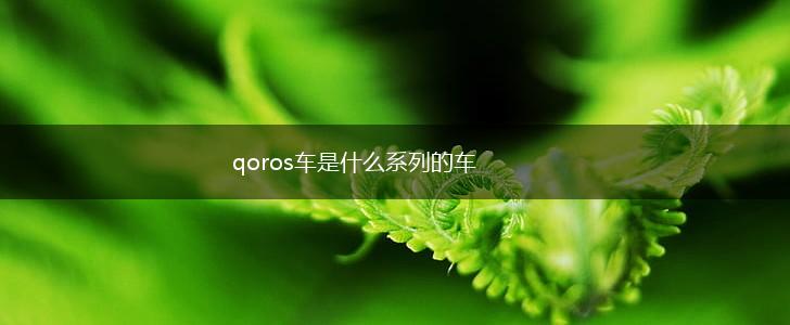 qoros车是什么系列的车,第1张