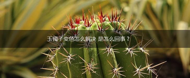 玉镯子变色怎么解决 是怎么回事？,第1张
