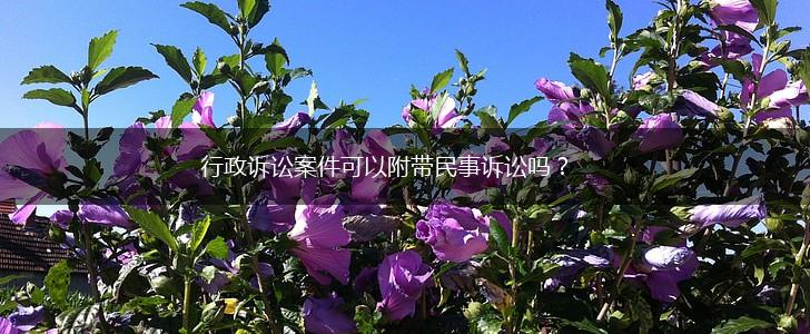 行政诉讼案件可以附带民事诉讼吗?,第1张 行政诉讼案件可以附带民事诉讼吗?,第1张