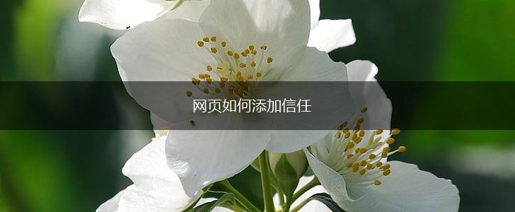 网页如何添加信任,第1张