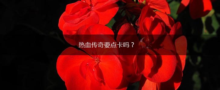 热血传奇要点卡吗？,第1张