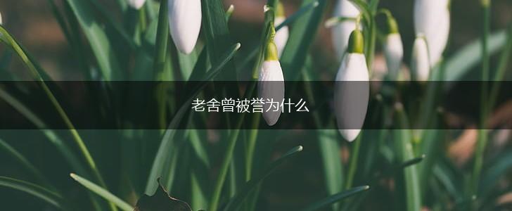 老舍曾被誉为什么,第1张