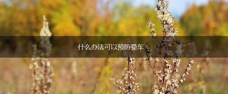 什么办法可以预防晕车,第1张