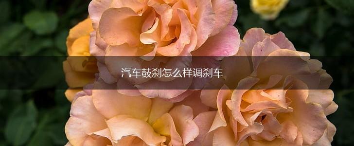 汽车鼓刹怎么样调刹车,第1张