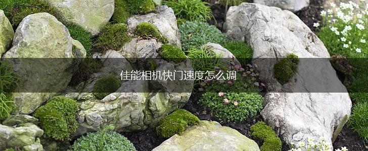 佳能相机快门速度怎么调,第1张