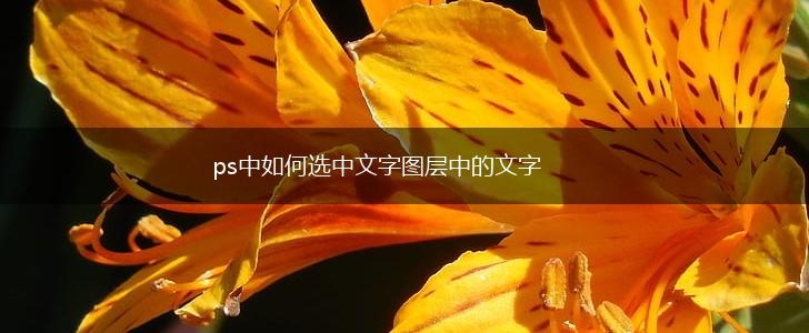 ps中如何选中文字图层中的文字,第1张
