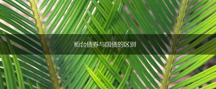 柜台债券与国债的区别,第1张
