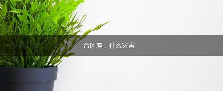 台风属于什么灾害,第1张