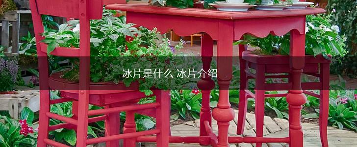 冰片是什么 冰片介绍,第1张