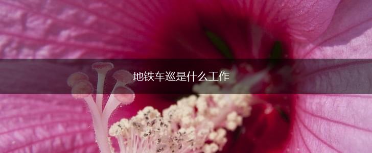 地铁车巡是什么工作,第1张