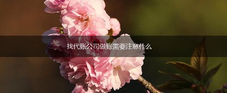 找代账公司做账需要注意什么,第1张 找代账公司做账需要注意什么,第1张