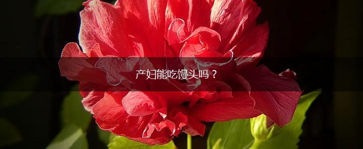 产妇能吃馒头吗？,第1张