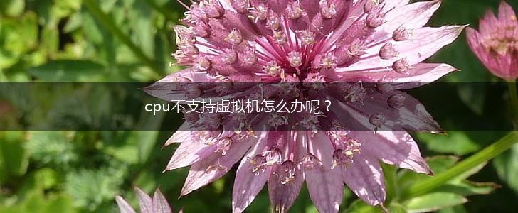 cpu不支持虚拟机怎么办呢？,第1张
