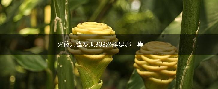 火蓝刀锋发现303潜艇是哪一集,第1张