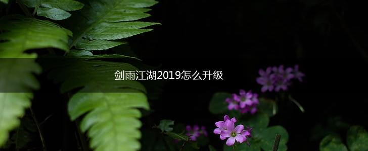 剑雨江湖2019怎么升级,第1张