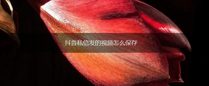 抖音私信发的视频怎么保存,第1张
