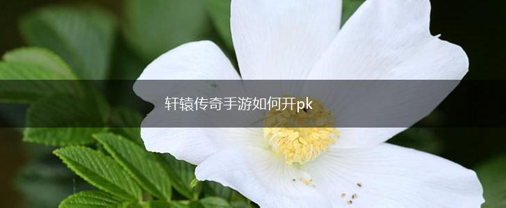 轩辕传奇手游如何开pk,第1张