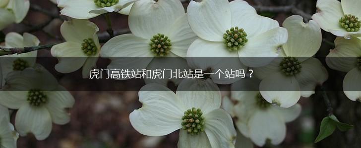 虎门高铁站和虎门北站是一个站吗？,第1张