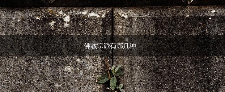 佛教宗派有哪几种,第1张