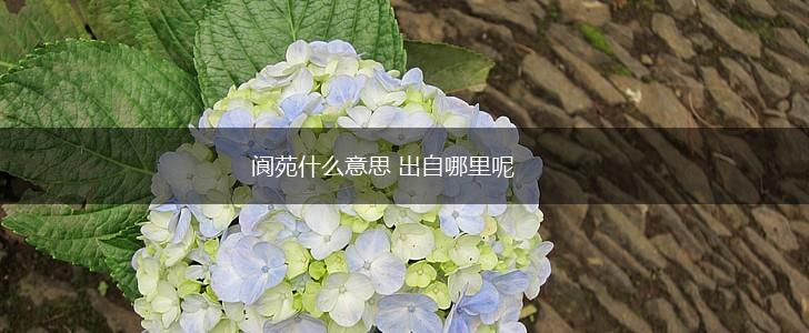 阆苑什么意思 出自哪里呢,第1张