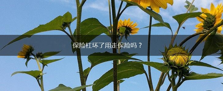 保险杠坏了用走保险吗？,第1张