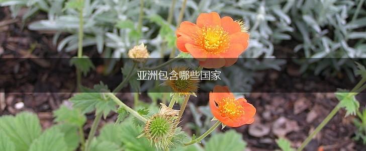 亚洲包含哪些国家,第1张