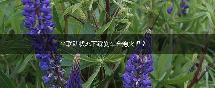 半联动状态下踩刹车会熄火吗？,第1张