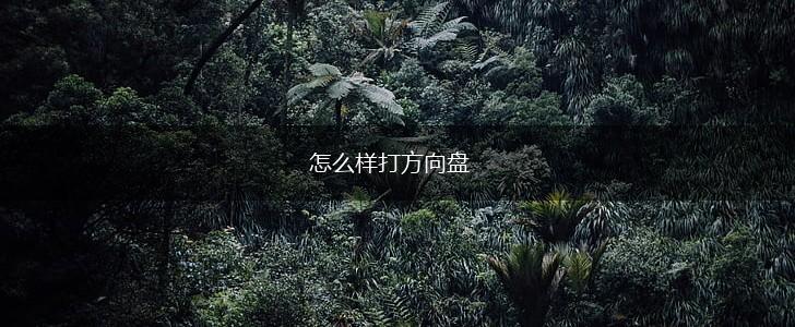 怎么样打方向盘,第1张