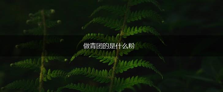做青团的是什么粉,第1张