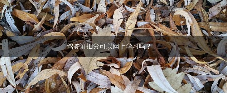 驾驶证扣分可以网上学习吗？,第1张