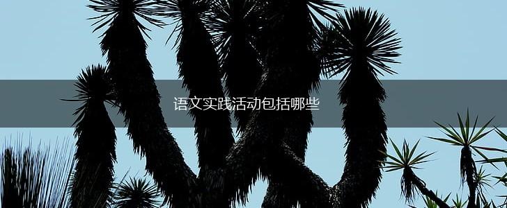 语文实践活动包括哪些,第1张