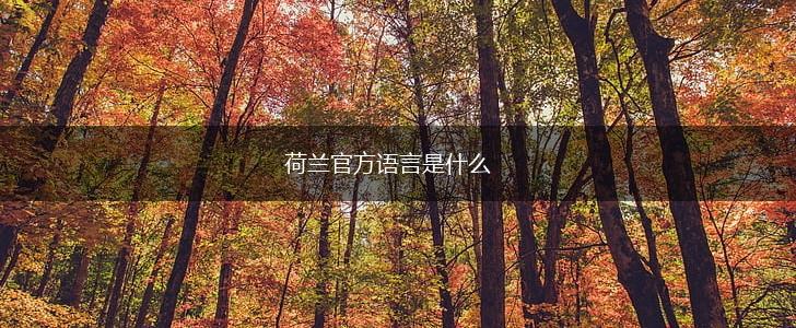 荷兰官方语言是什么,第1张