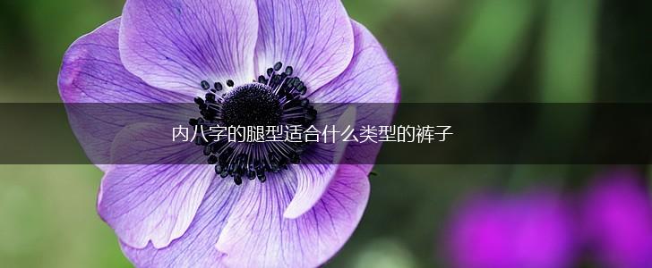 内八字的腿型适合什么类型的裤子,第1张