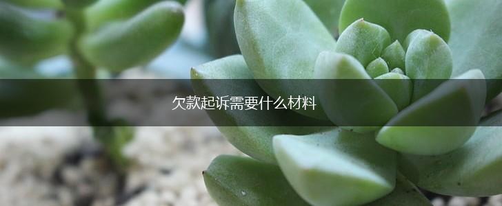 欠款起诉需要什么材料,第1张