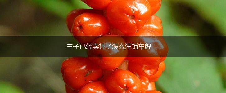 车子已经卖掉了怎么注销车牌,第1张