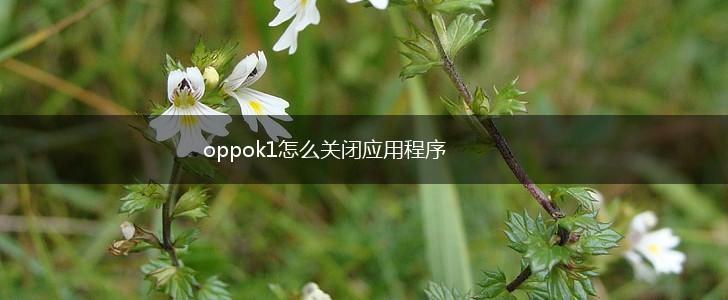 oppok1怎么关闭应用程序,第1张