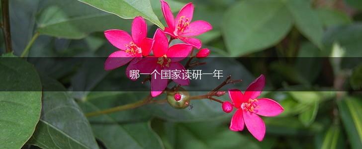 哪一个国家读研一年,第1张