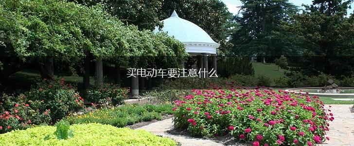 买电动车要注意什么,第1张