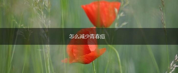 怎么减少青春痘,第1张
