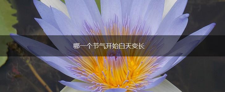 哪一个节气开始白天变长,第1张