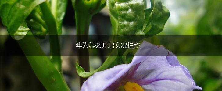 华为怎么开启实况拍照,第1张