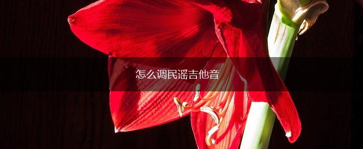 怎么调民谣吉他音,第1张