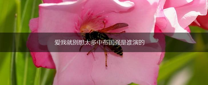 爱我就别想太多中布国强是谁演的,第1张